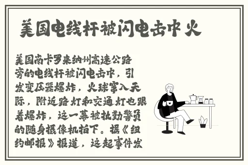 月光视频在线观看片